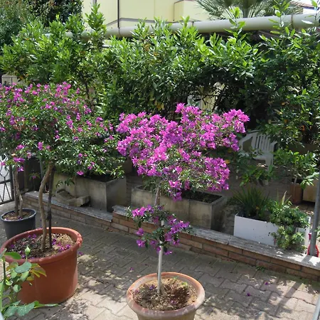 Giotto House, Weekly Only From Saturday To Saturday Apartment Cecina (Livorno)